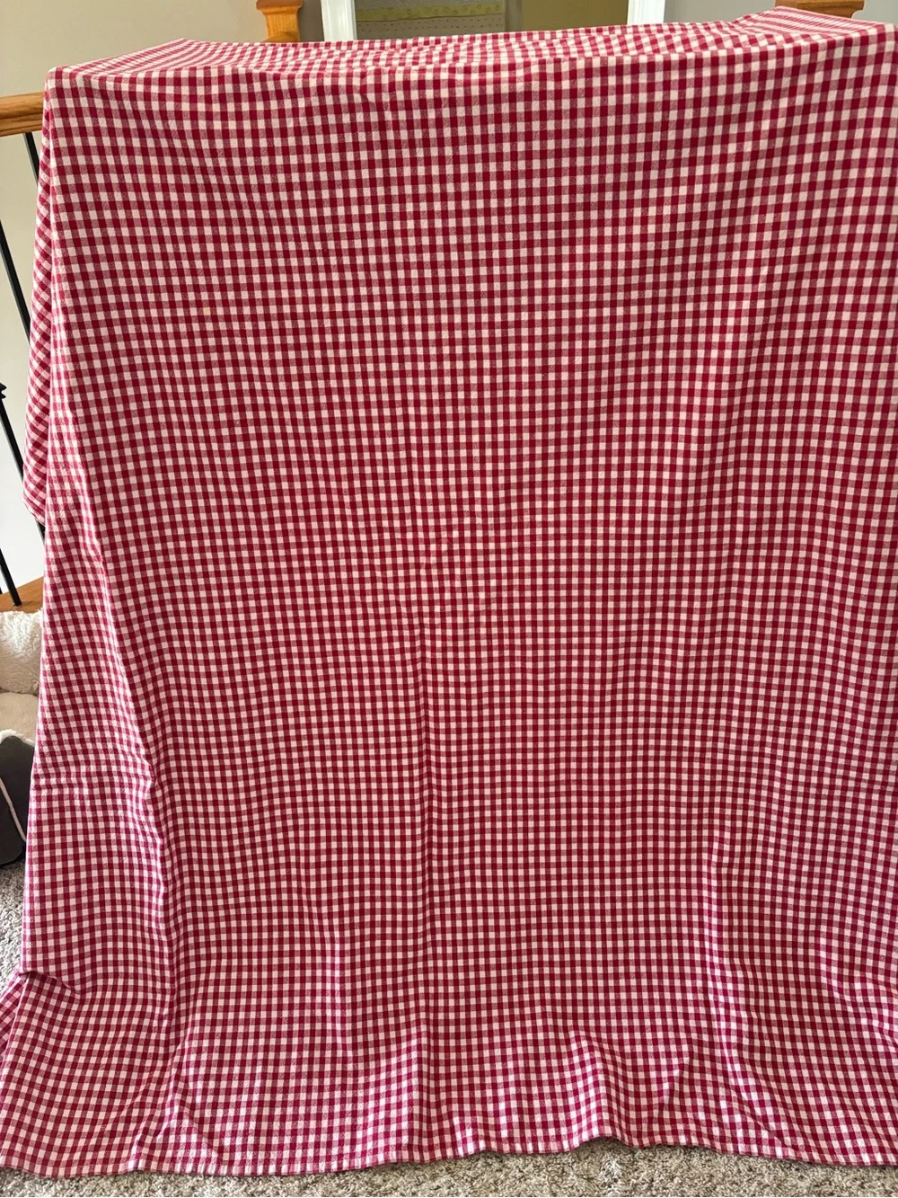 Red and White Gingham tablecloth